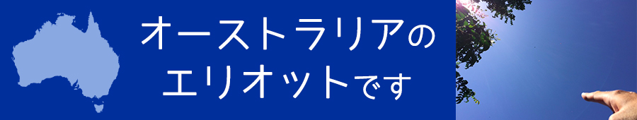 オーストラリアに持ち込めるもの。