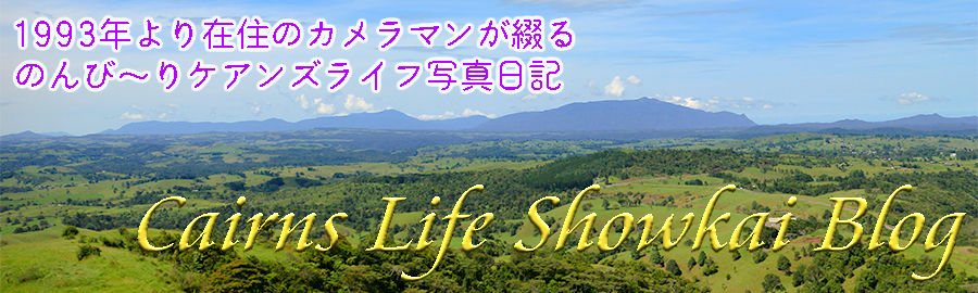 事故多くない？ちょっと怒ってます！