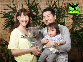 <p>ケアンズ市内で唯一コアラ抱っこ写真が撮れる場所！</p>
