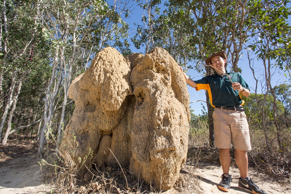 <p>ツアー序盤に現れるのが、人の身長よりも大きな巨大アリ塚。アリ塚の中には約2000万匹の蟻が!!アボリジニの人々は、この蟻を薬用として食べていたんだって。</p>
