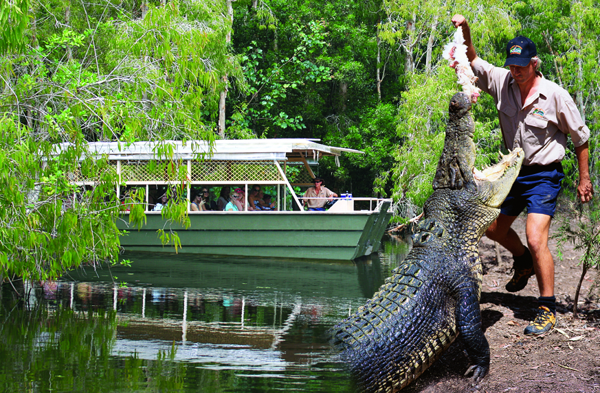 Hartley’s Crocodile Adventures