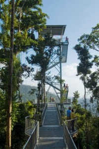 <p>地上高さ37mにそびえ立つマムータワーなど 見所は盛り沢山。</p>
