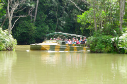 Rainforestation Nature Park