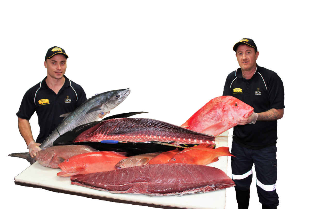 <p>ケアンズ在住の日本人の皆さんに美味しい魚を食べてもらいたいと 刺身で食べられるマグロやサーモンはもちろんのこと 他の魚屋さんではなかなか手に入らない 生食用のイカやホタテ、活け牡蠣や活けムール貝まで 取り揃えています。</p>
