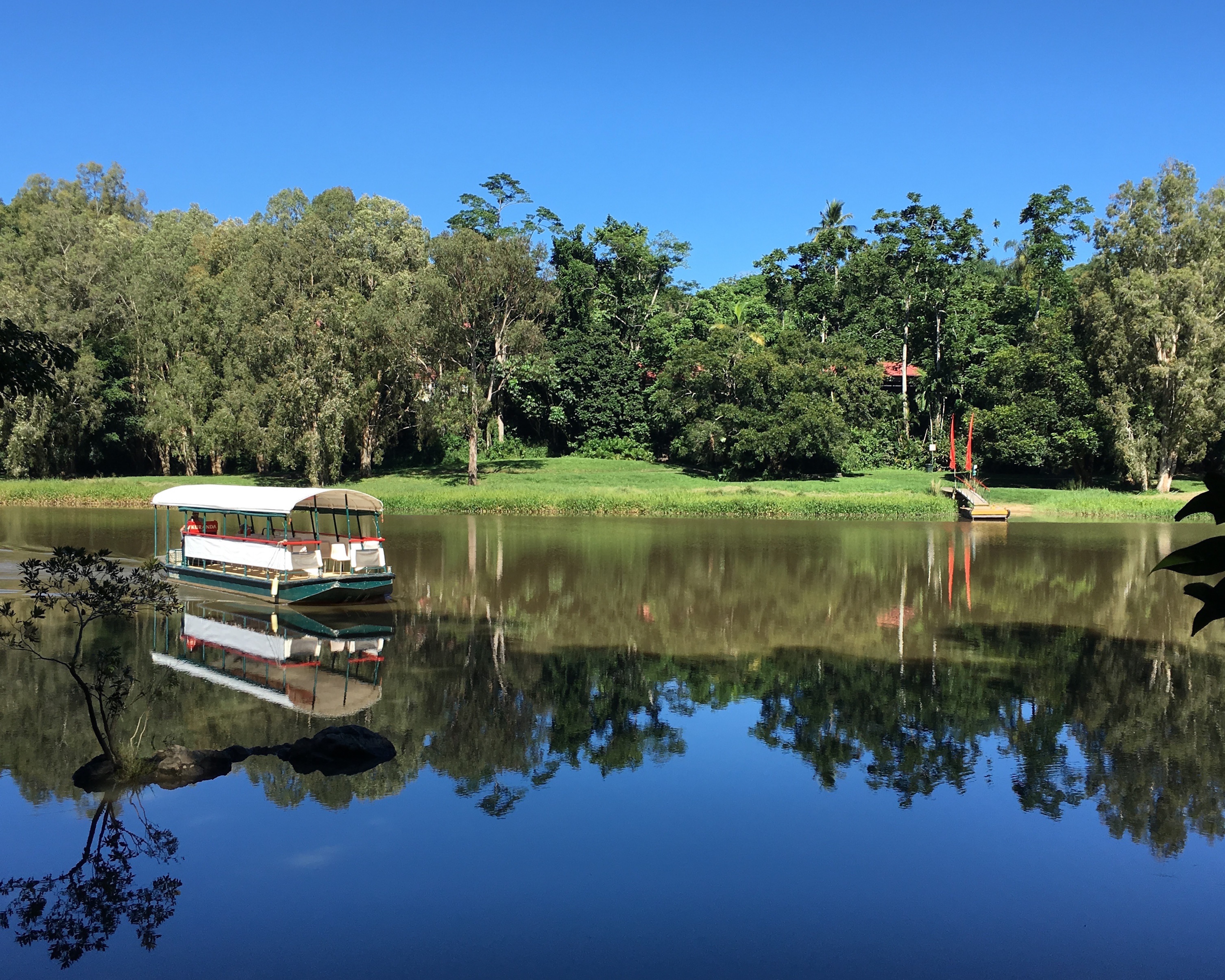 バロン川を爽快クルージング Kuranda Riverboat