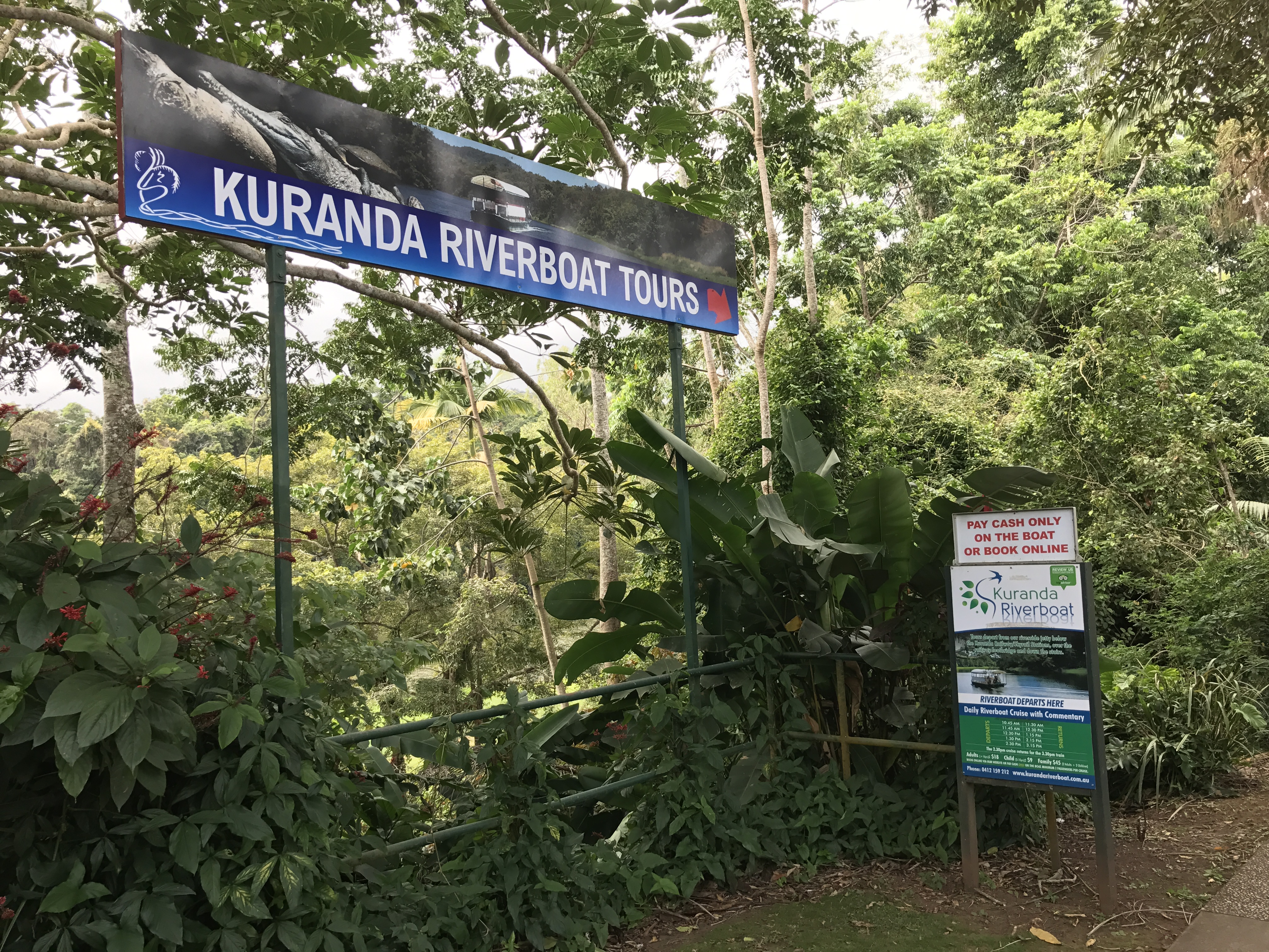 <p>KURANDA RIVERBOAT TOURSの看板が見えてきました。</p>
