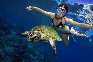 Snorkelling with turtle