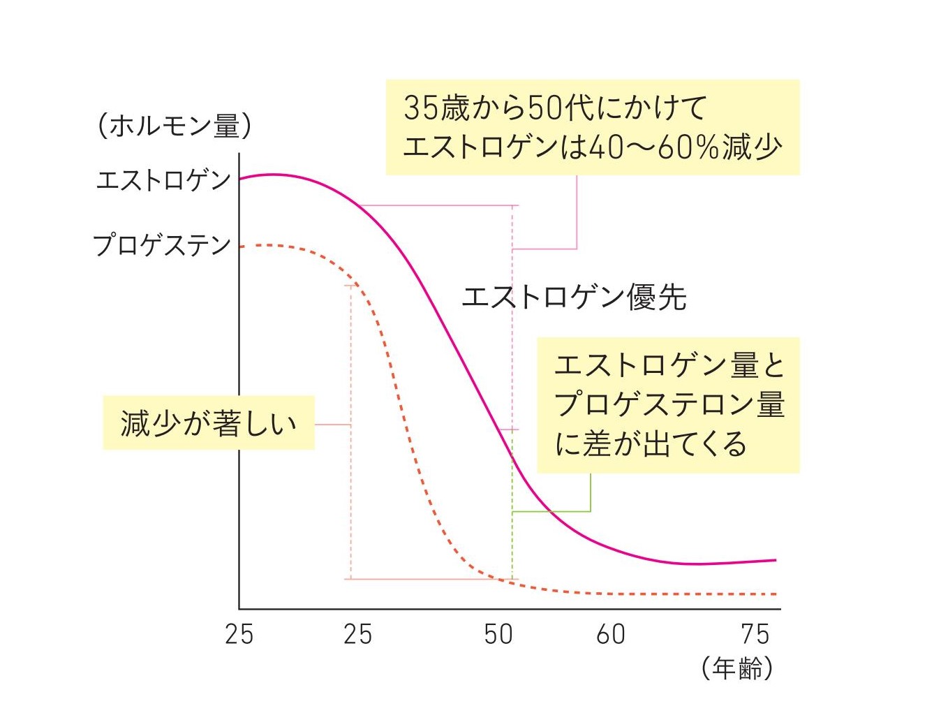 アンチエイジングの敵～更年期・エストロゲン優勢～