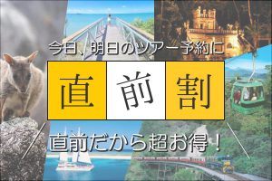 ケアンズのオプショナルツアー直前予約＆間際予約は「あっ！ケアンズツアー」にお任せください！