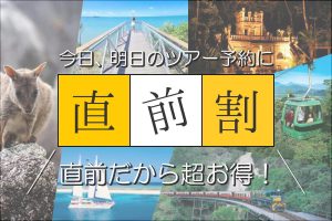 ケアンズのオプショナルツアー直前予約＆間際予約は「あっ！ケアンズツアー」にお任せください！