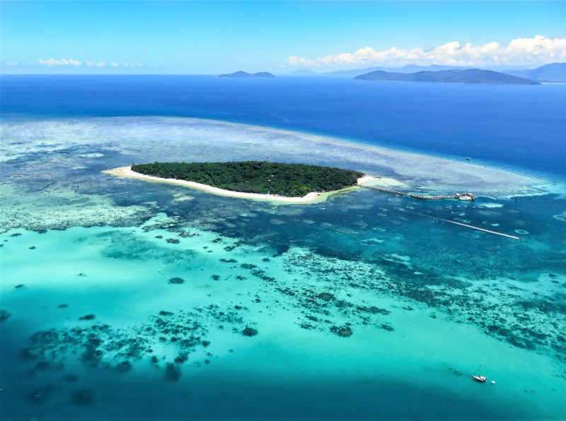 世界遺産グレートバリアリーフで大人気の「グリーン島」をご紹介！